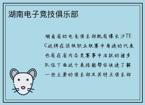 湖南电子竞技俱乐部